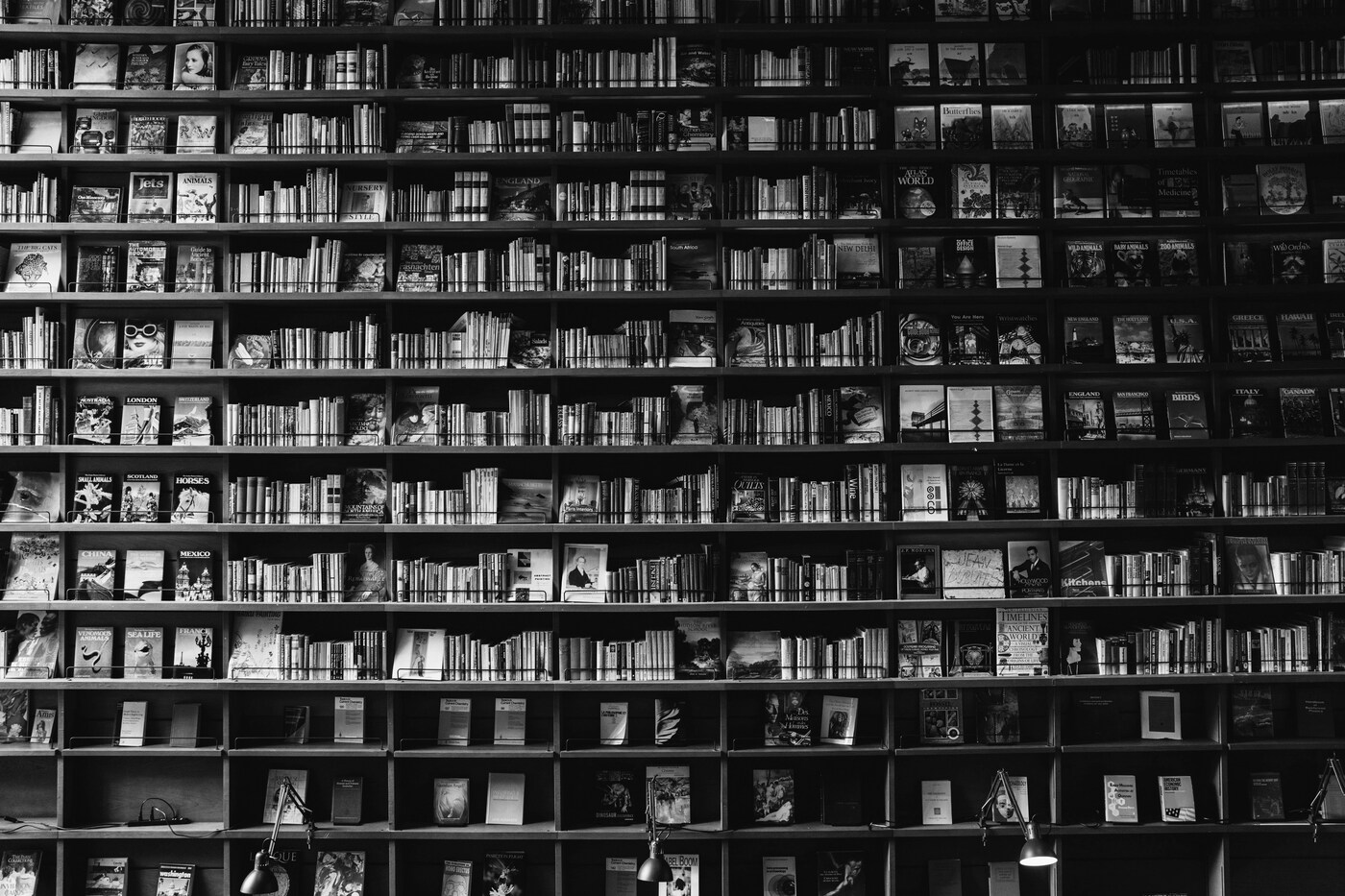 Image de capa do post Checkpoint da lista de leitura 2026